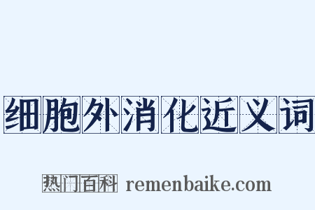 细胞外消化近义词是什么意思的图片